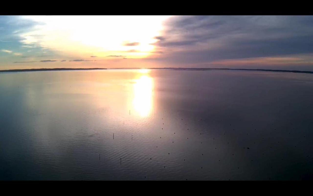 Appt. Bella Vita - Andernos Les Bains, Au Coeur Du Bassin D'Arcachon エクステリア 写真